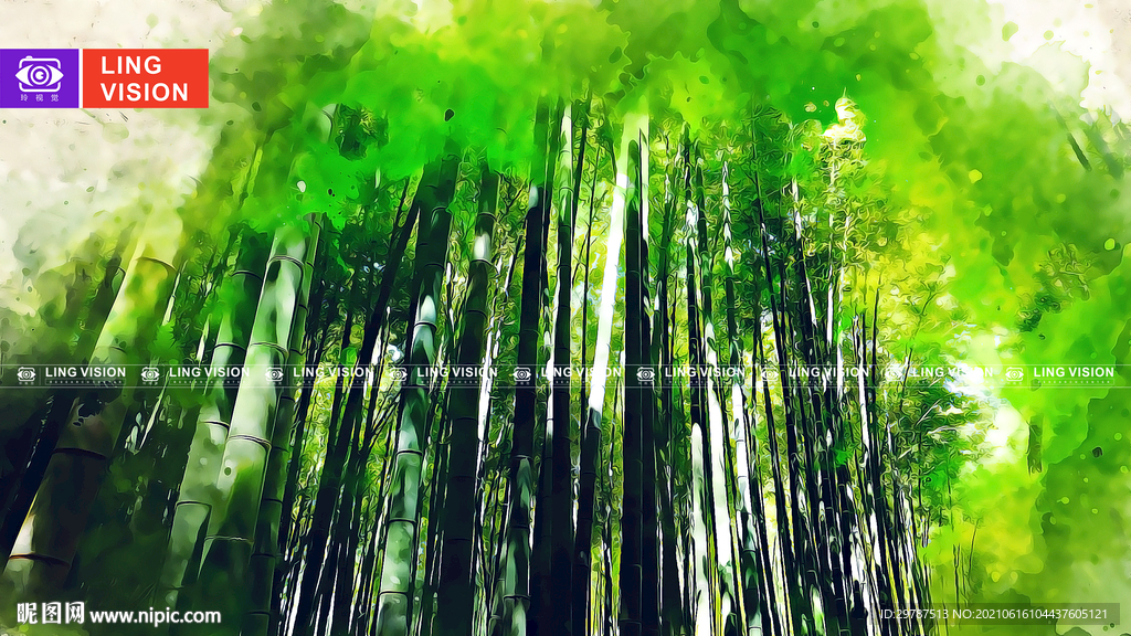 竹子