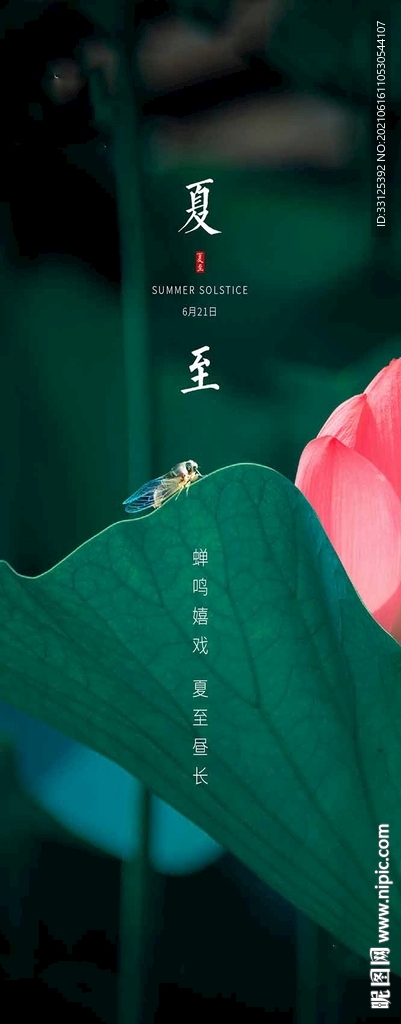 夏至海报