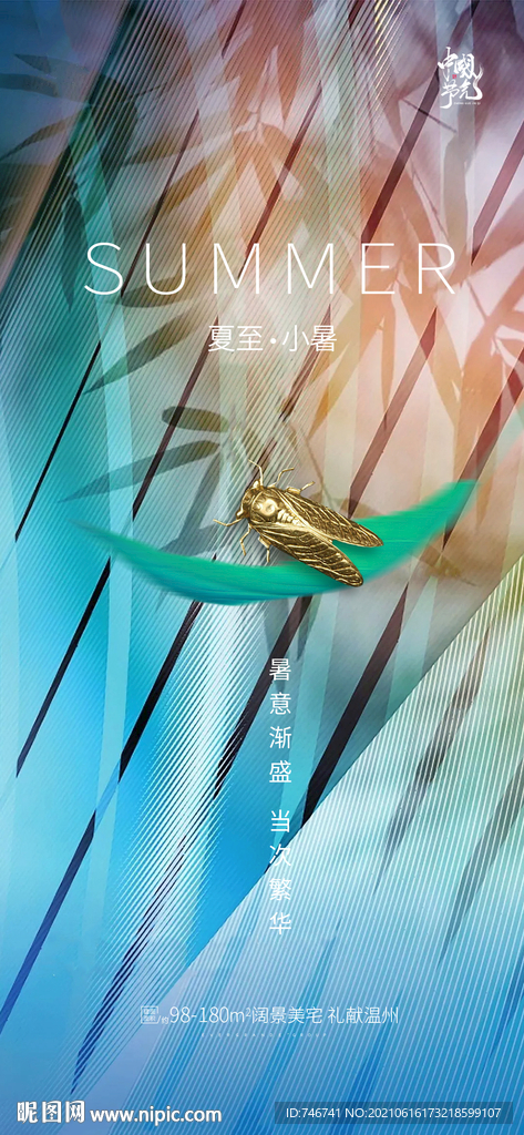 蝉 夏至