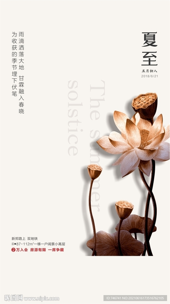 木荷花