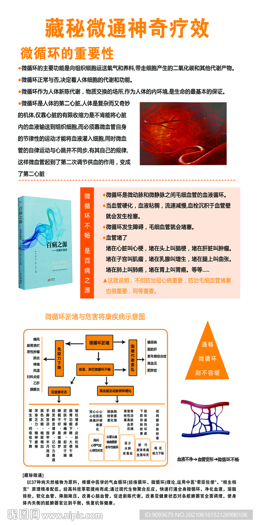 藏秘微通海报