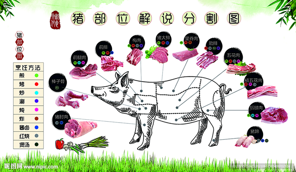 猪部位分割图
