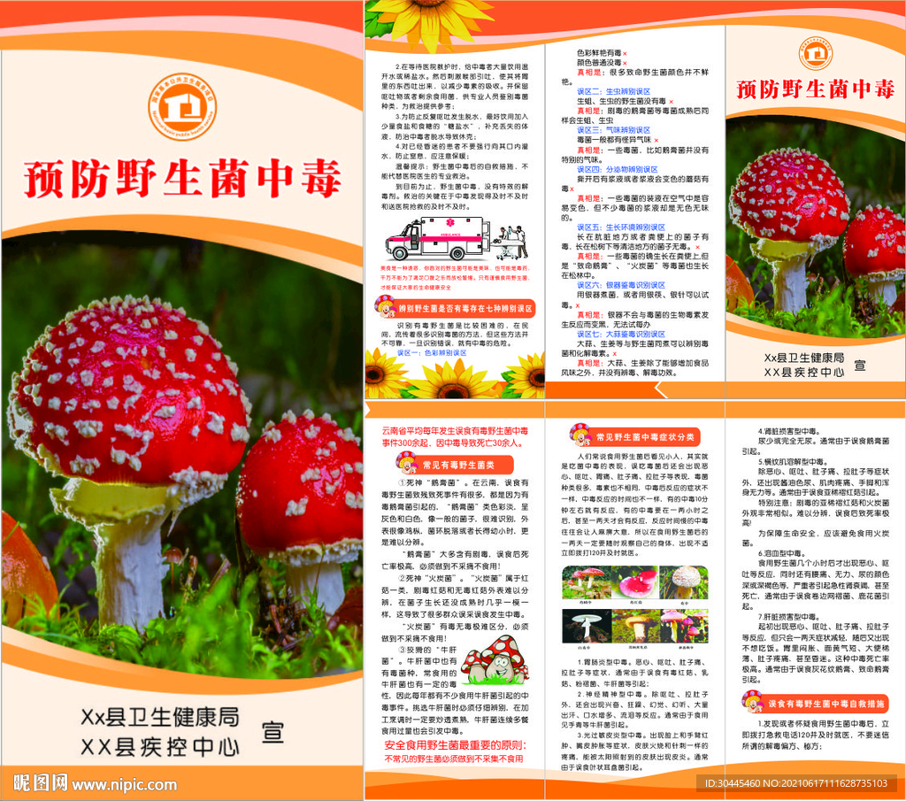 预防野生菌中毒