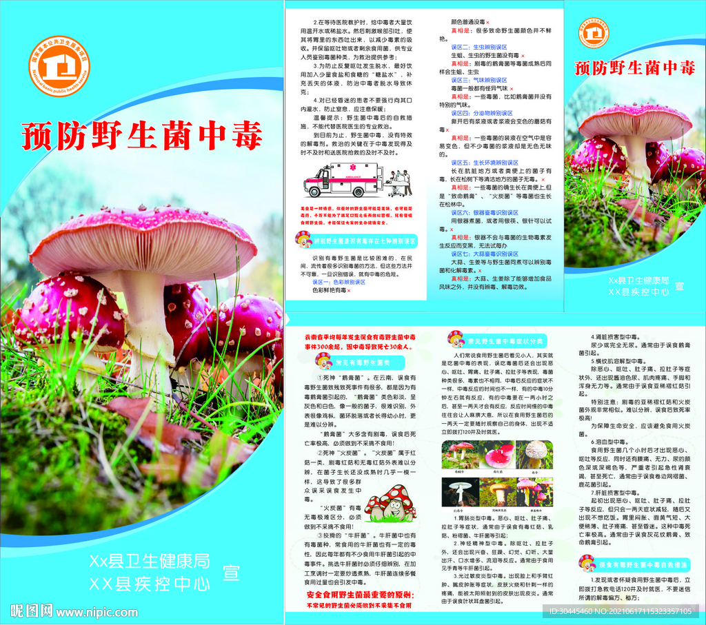 预防野生菌中毒