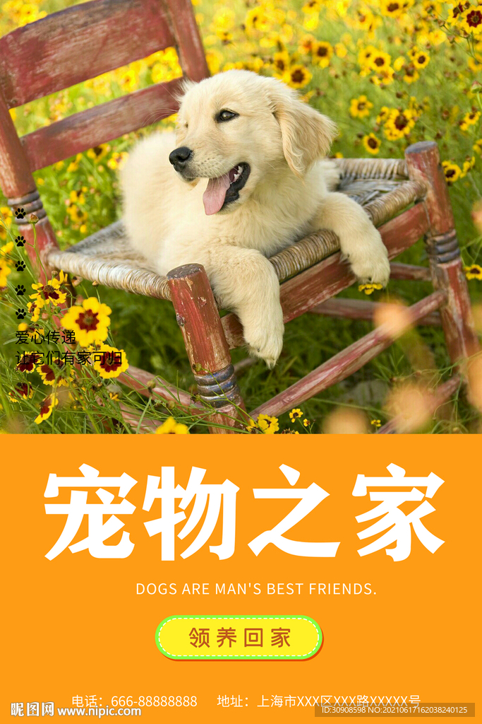 宠物