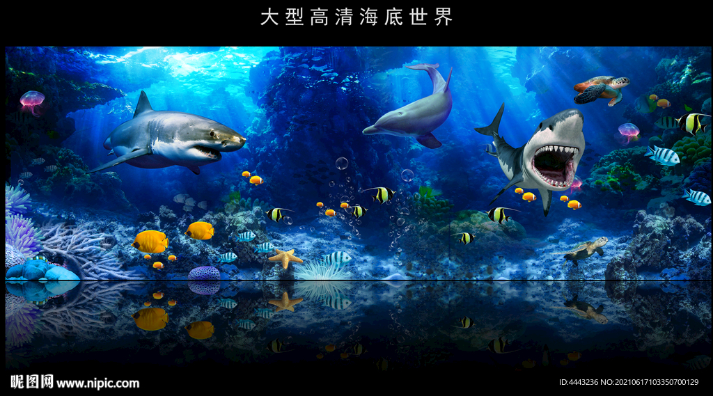 海底世界背景