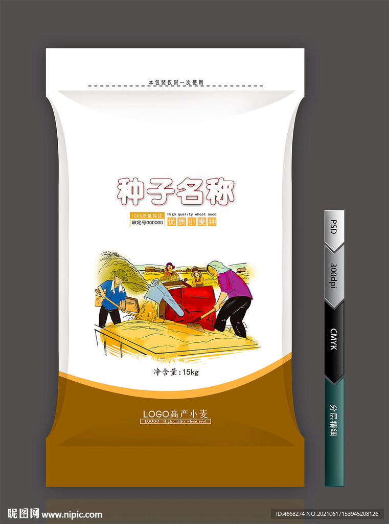 小麦种子(展开图)
