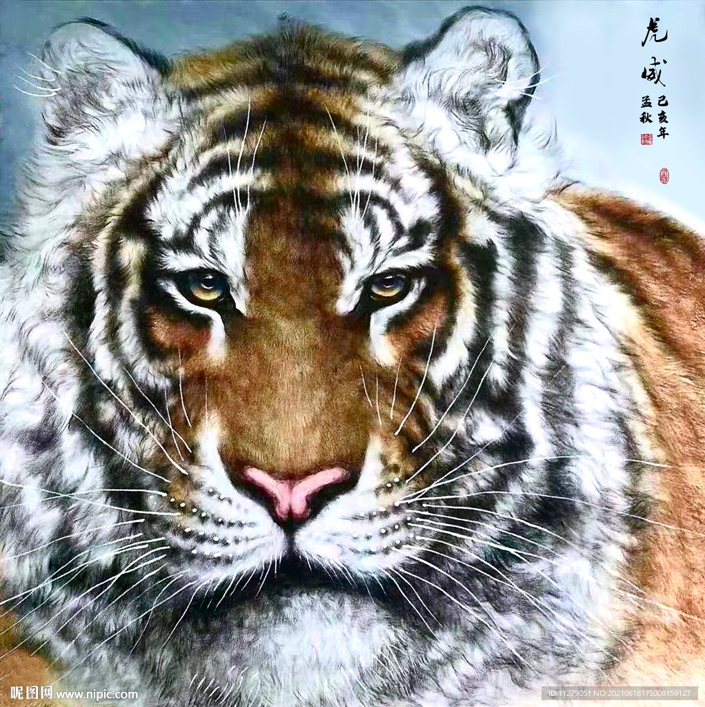 老虎