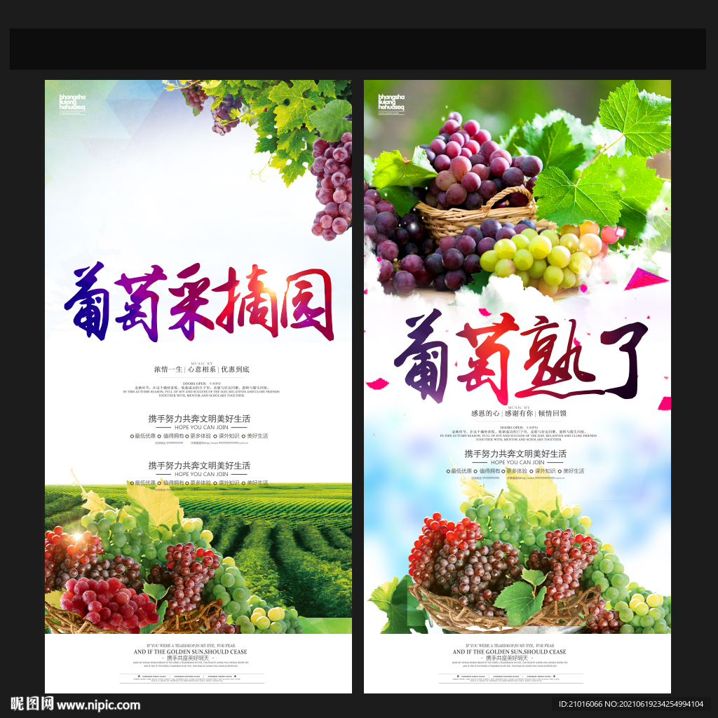 葡萄