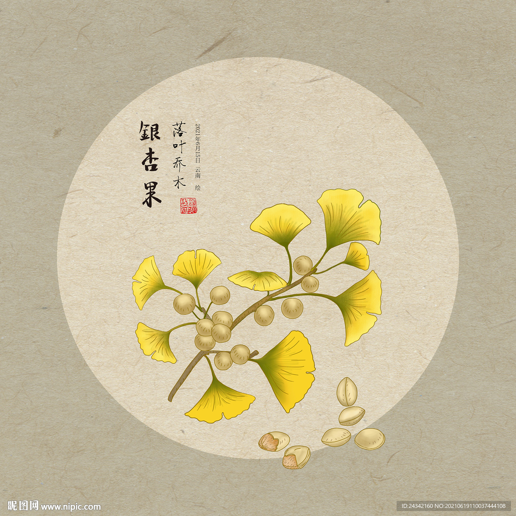 手绘银杏