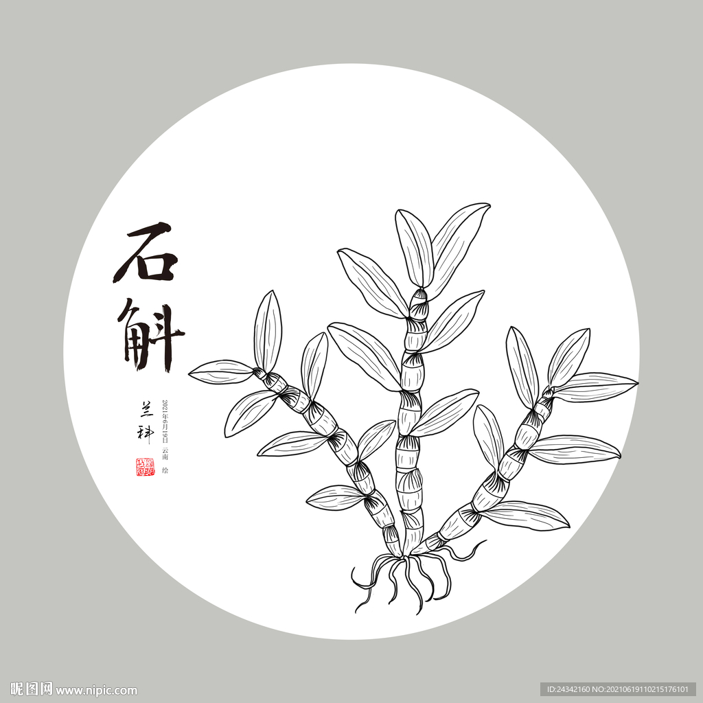 手绘石斛