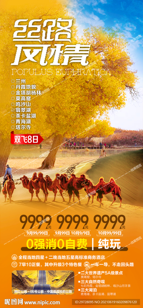 西北旅游海报 青海甘肃宁夏胡杨