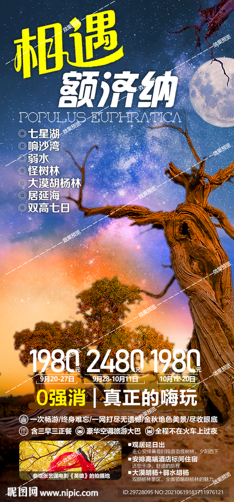 西北旅游海报 青海甘肃宁夏胡杨