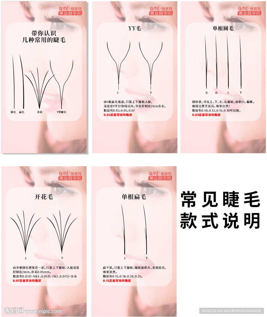 常见睫毛款式说明
