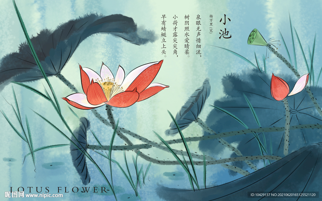 红荷