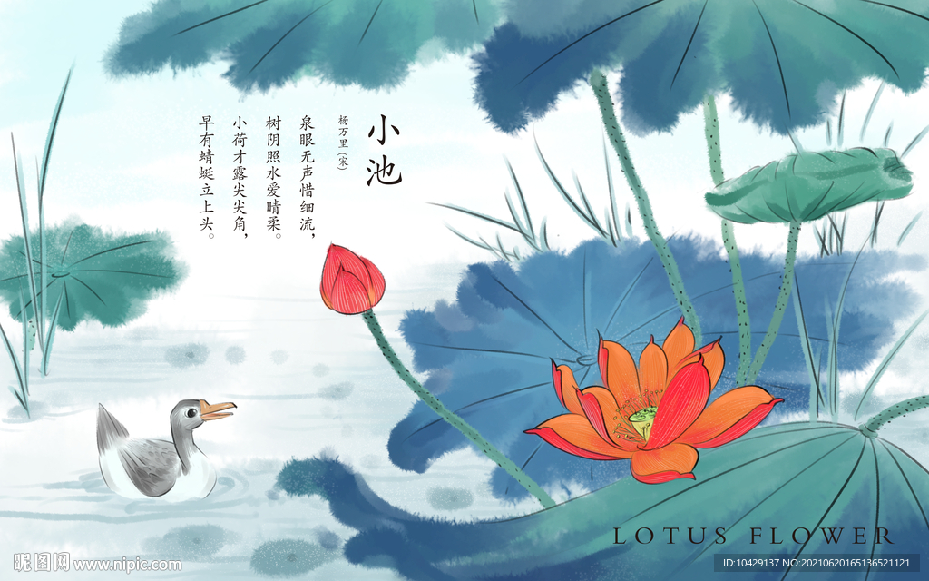 红荷花