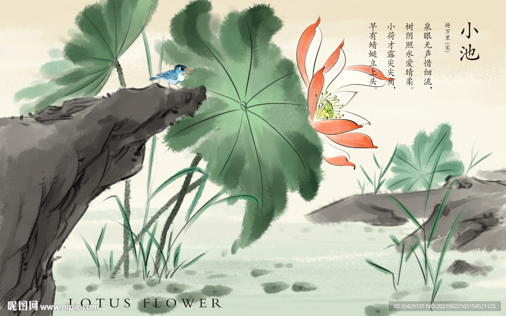 小荷