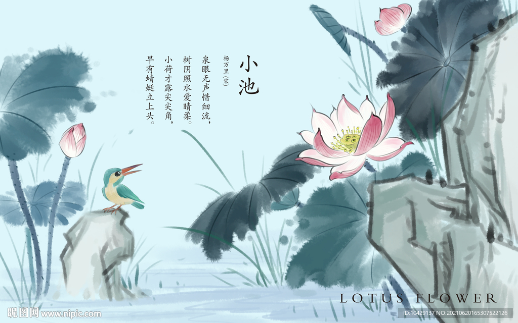 蓝荷