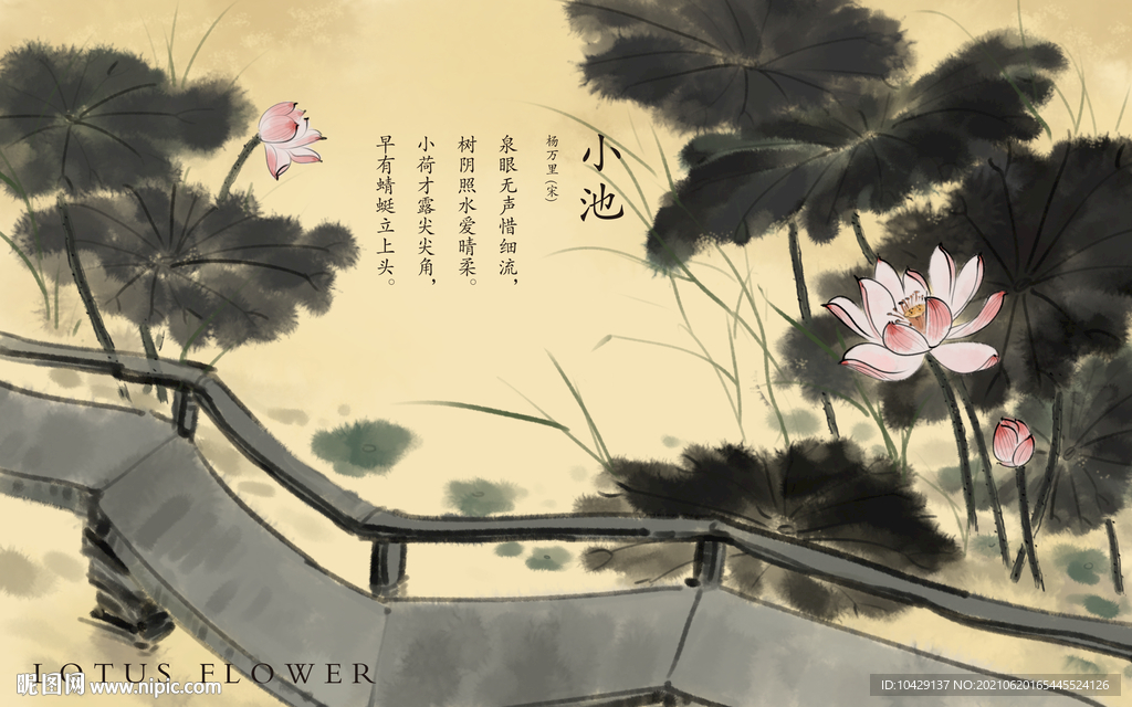 桥荷