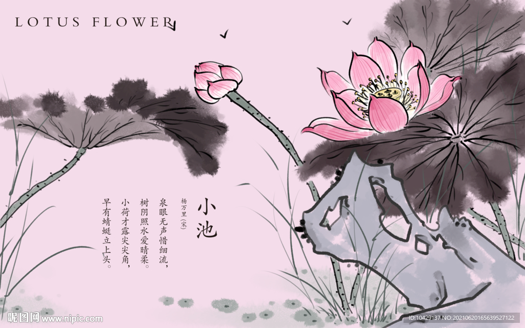 小荷
