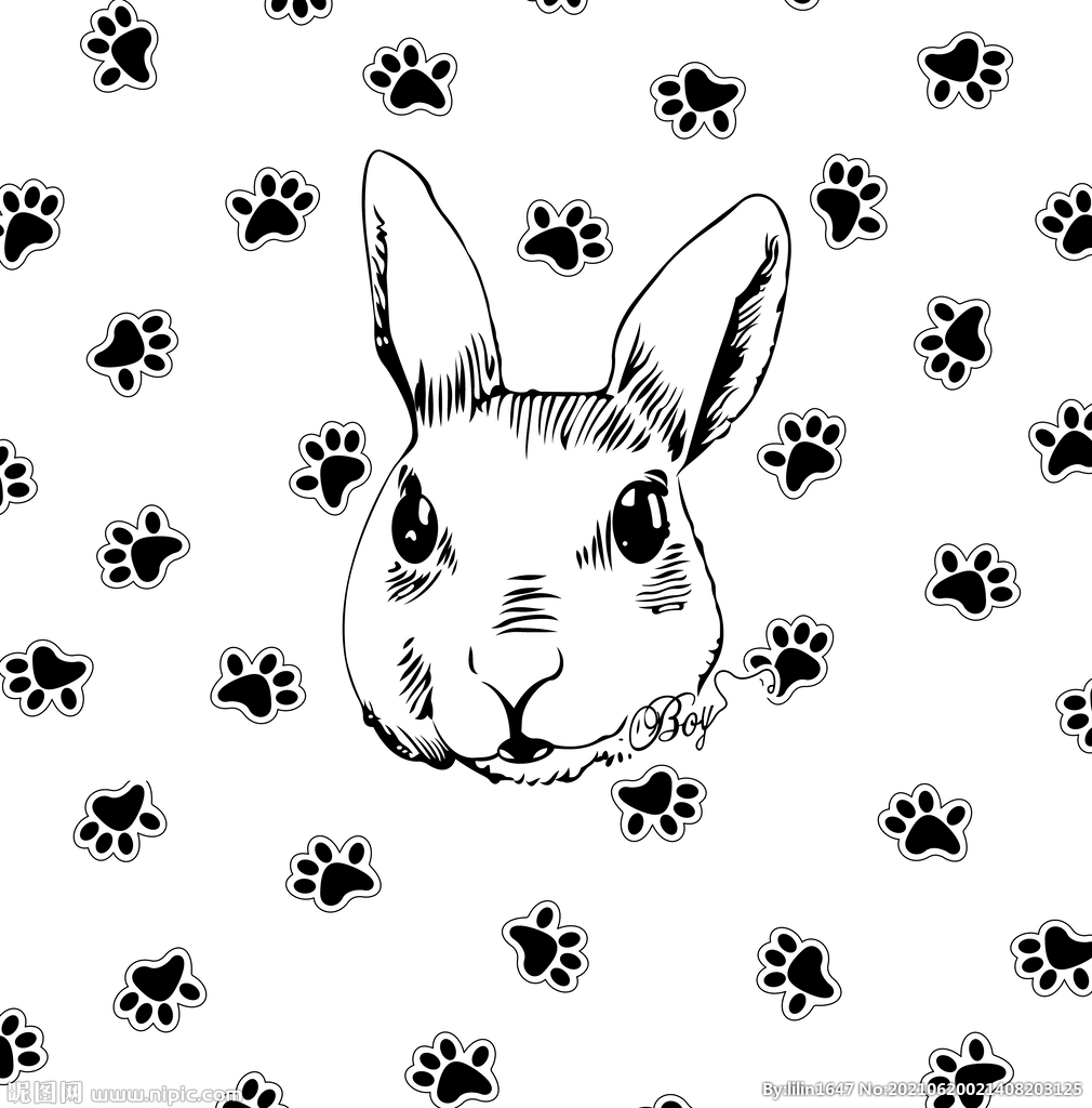 女装卡通裁片定位兔子