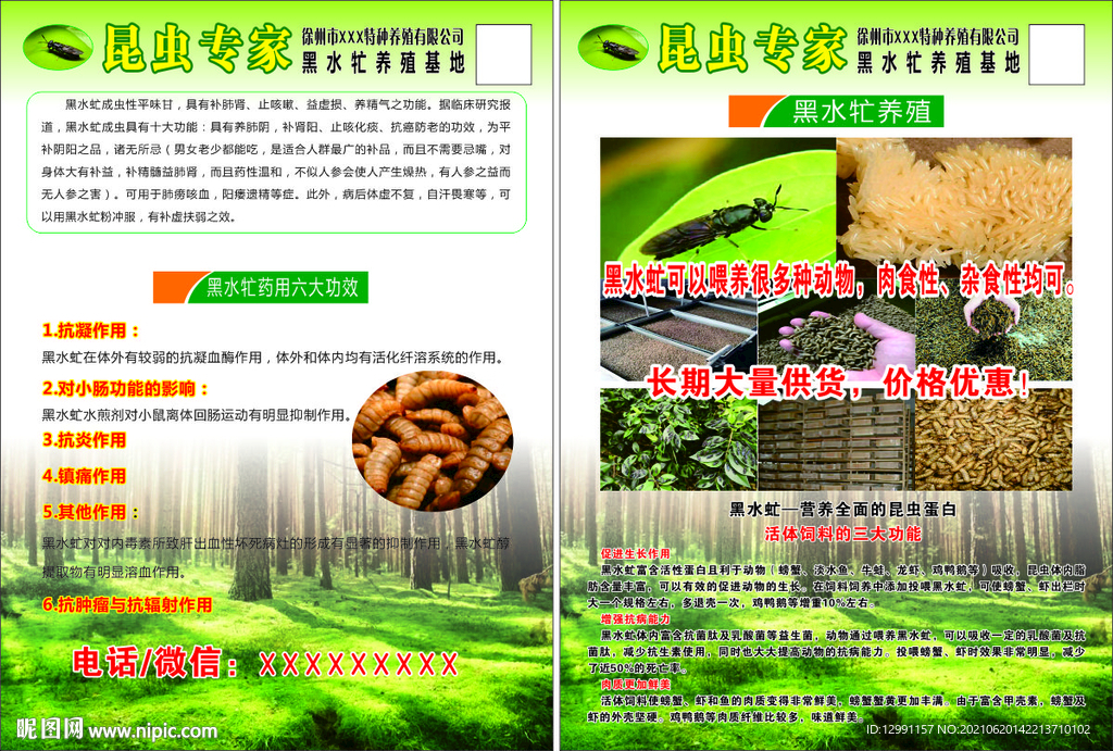 昆虫专家 黑水牤 彩页