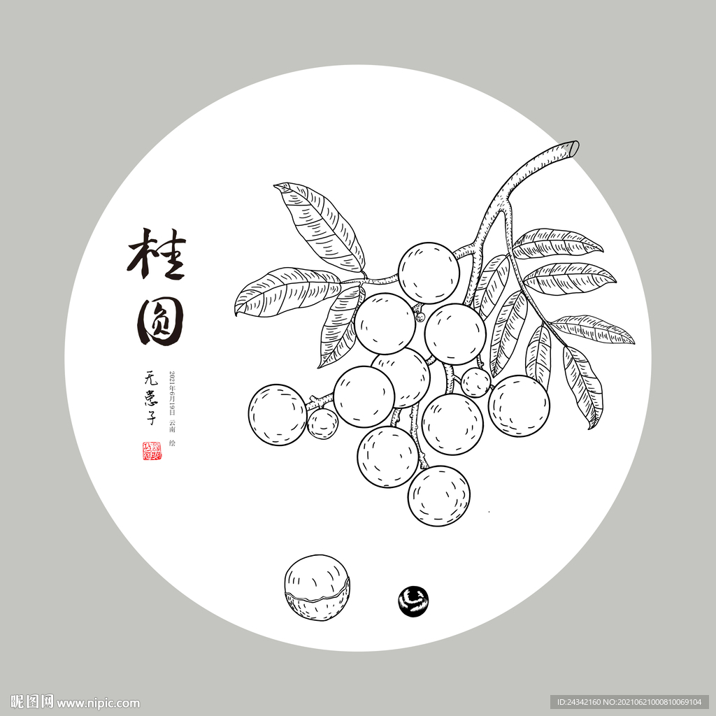手绘龙眼