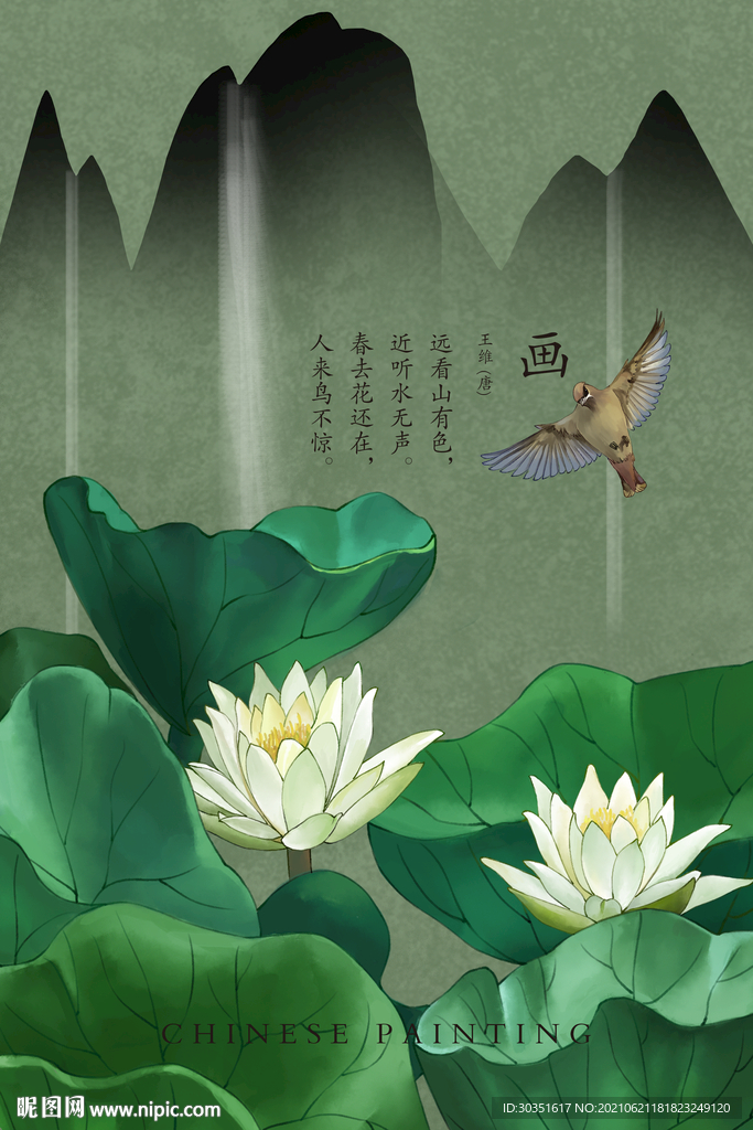 荷花