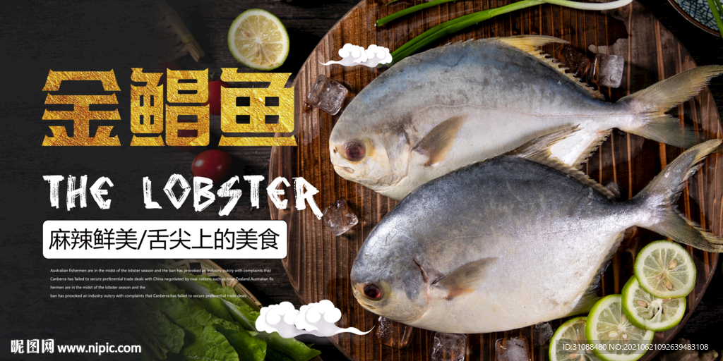 金鲳鱼海报