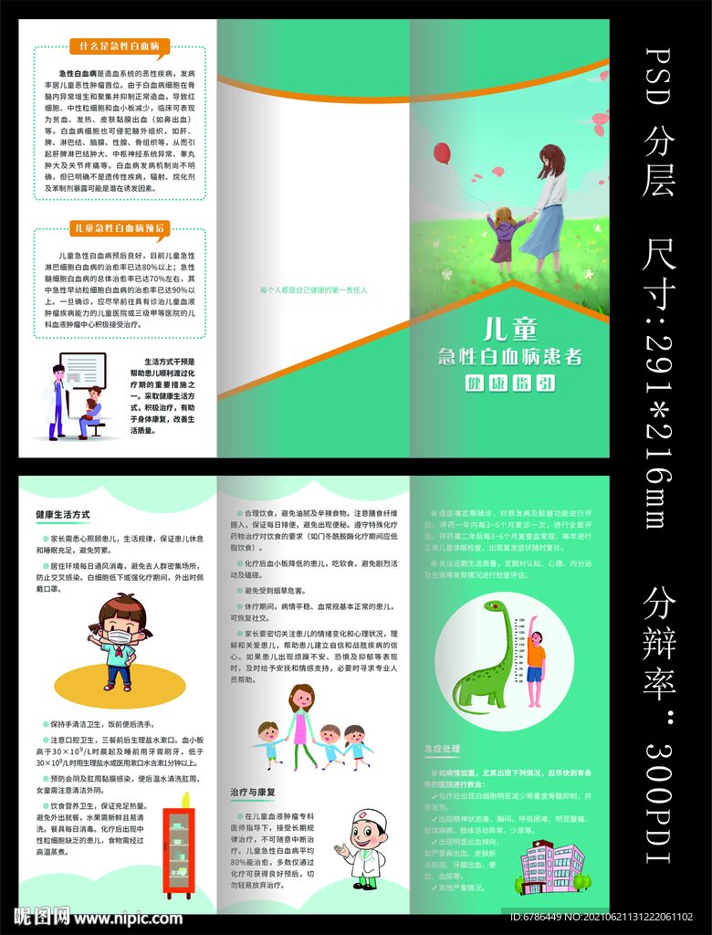 儿童急性白血病 白血病折页