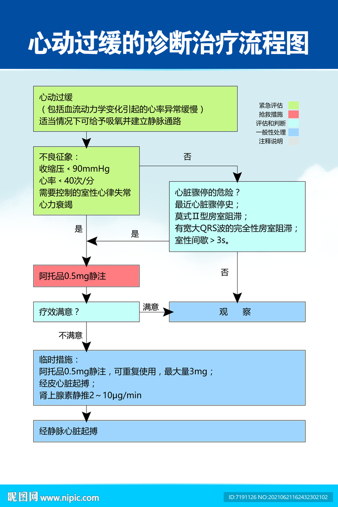 心动过缓的诊断治疗流程图
