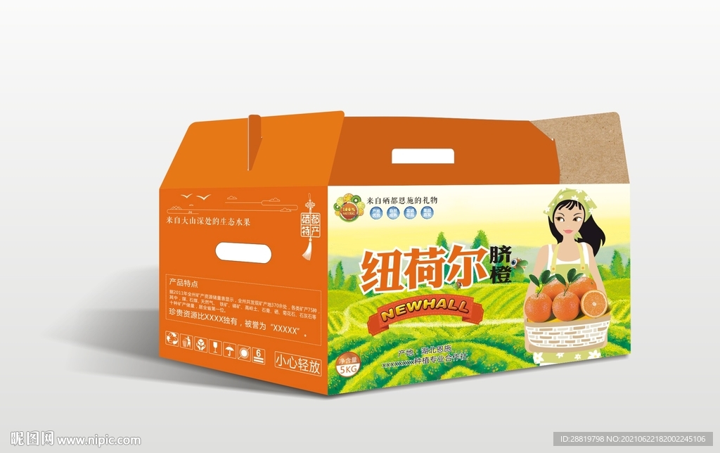 橙子包装盒效果内含展开图
