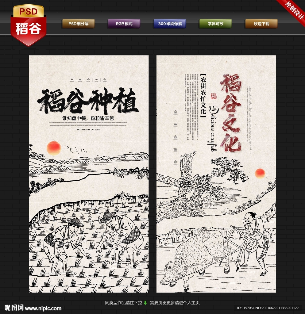 稻谷