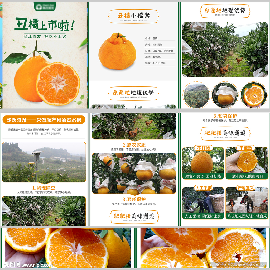 丑橘详情页