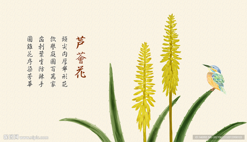 手绘芦荟花与鸟