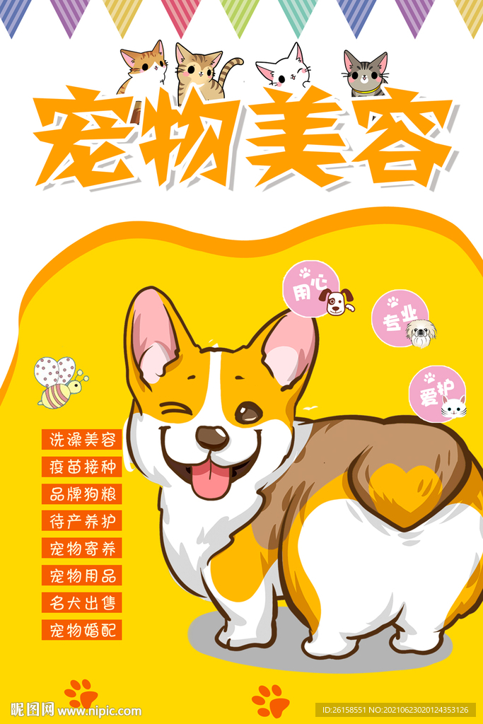 宠物