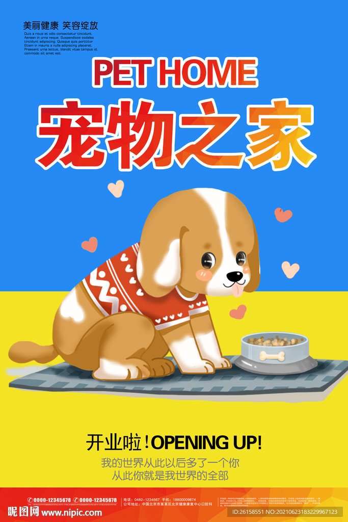 宠物
