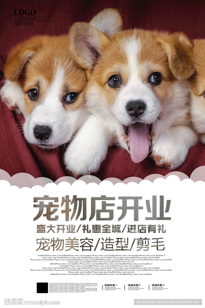 宠物