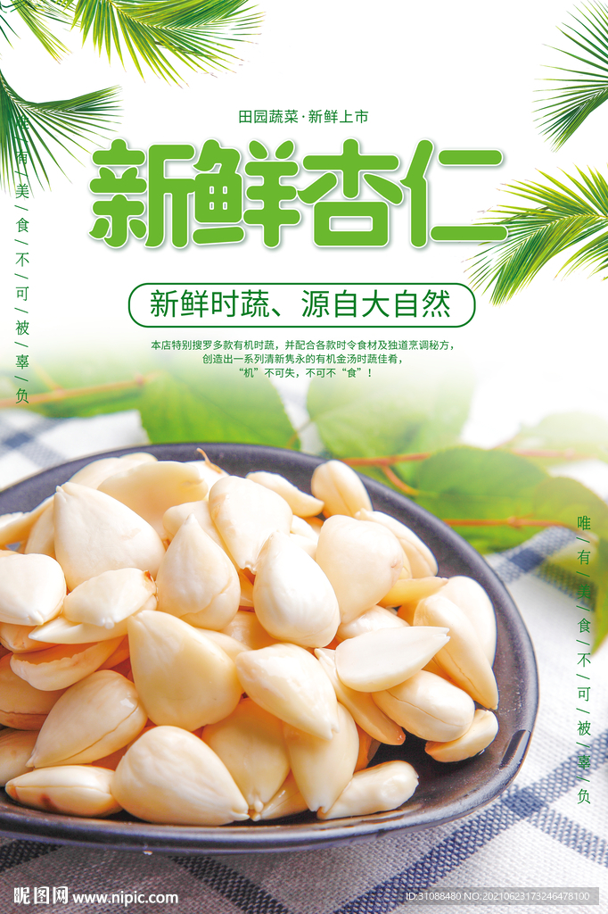 杏仁海报