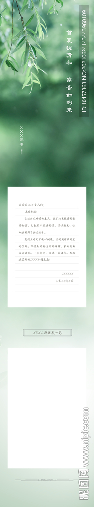 树荫枝条