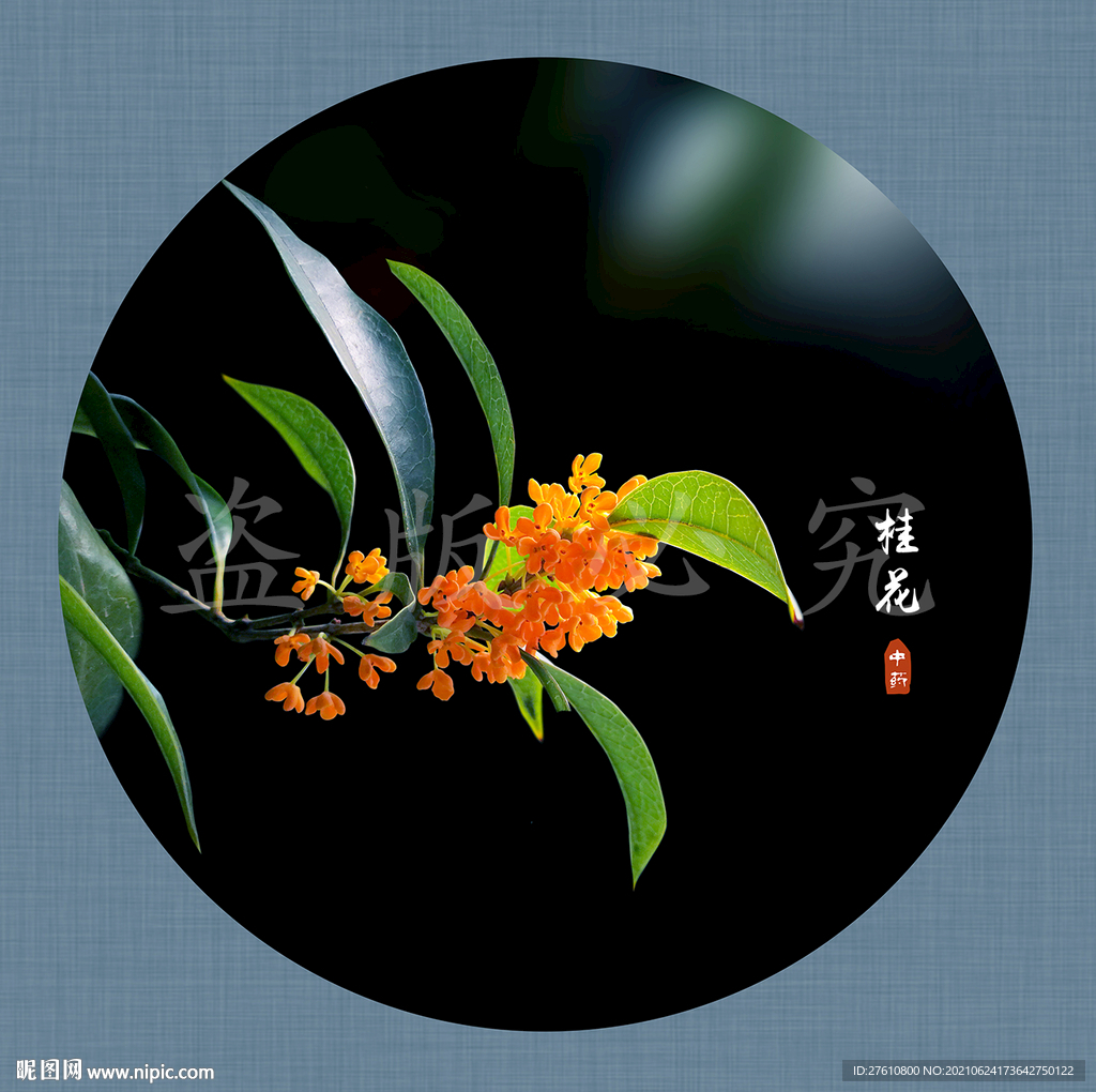 桂花