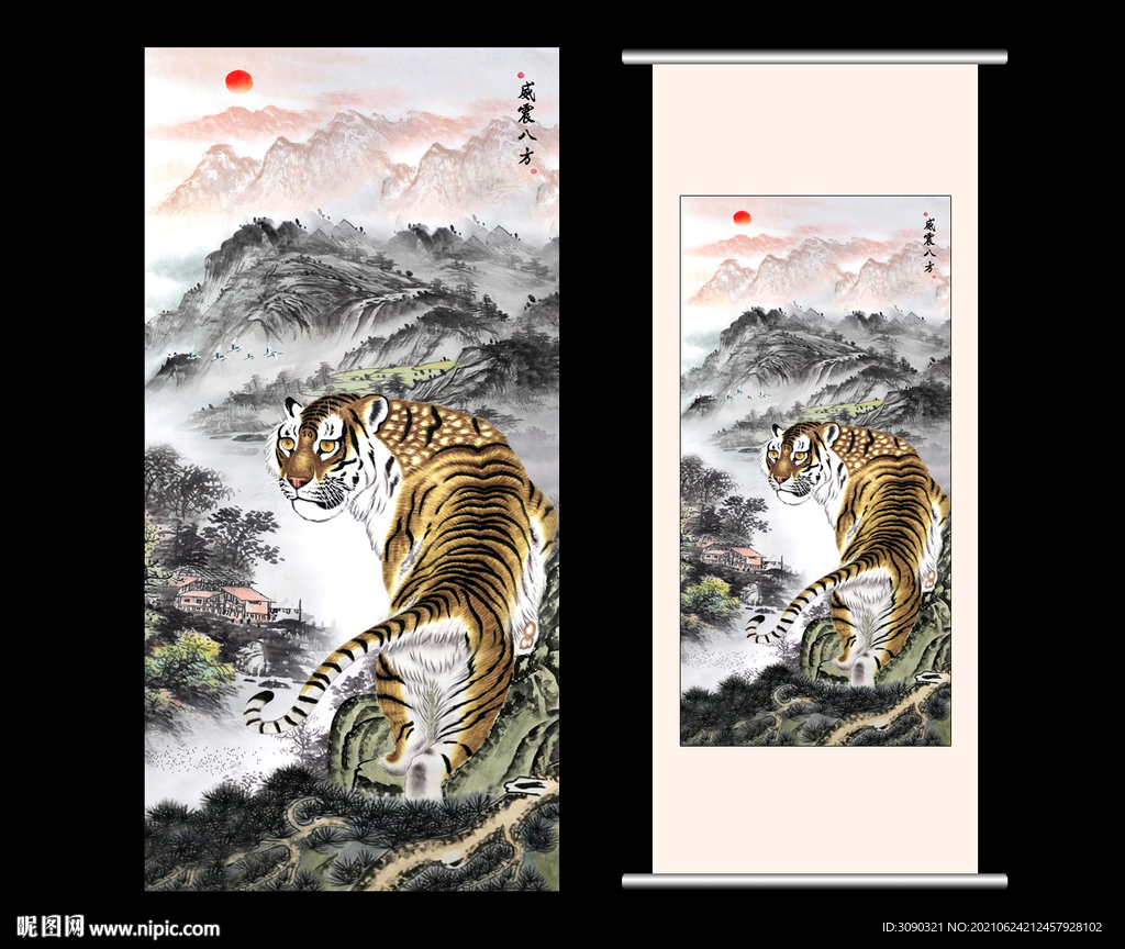 老虎 