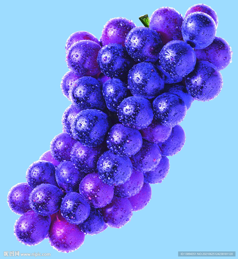 葡萄