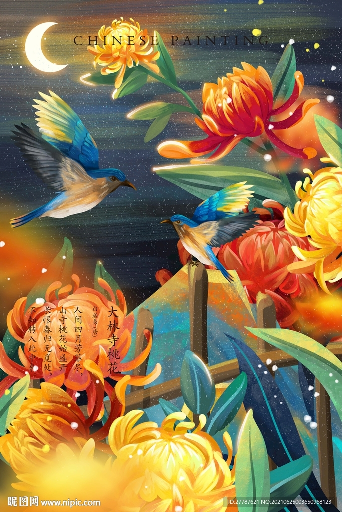 金菊花