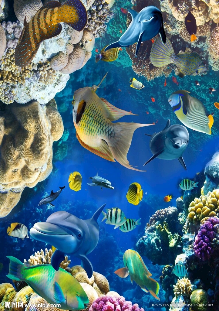 海底世界