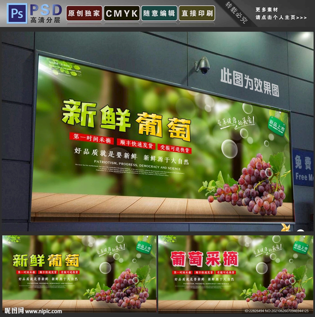 葡萄