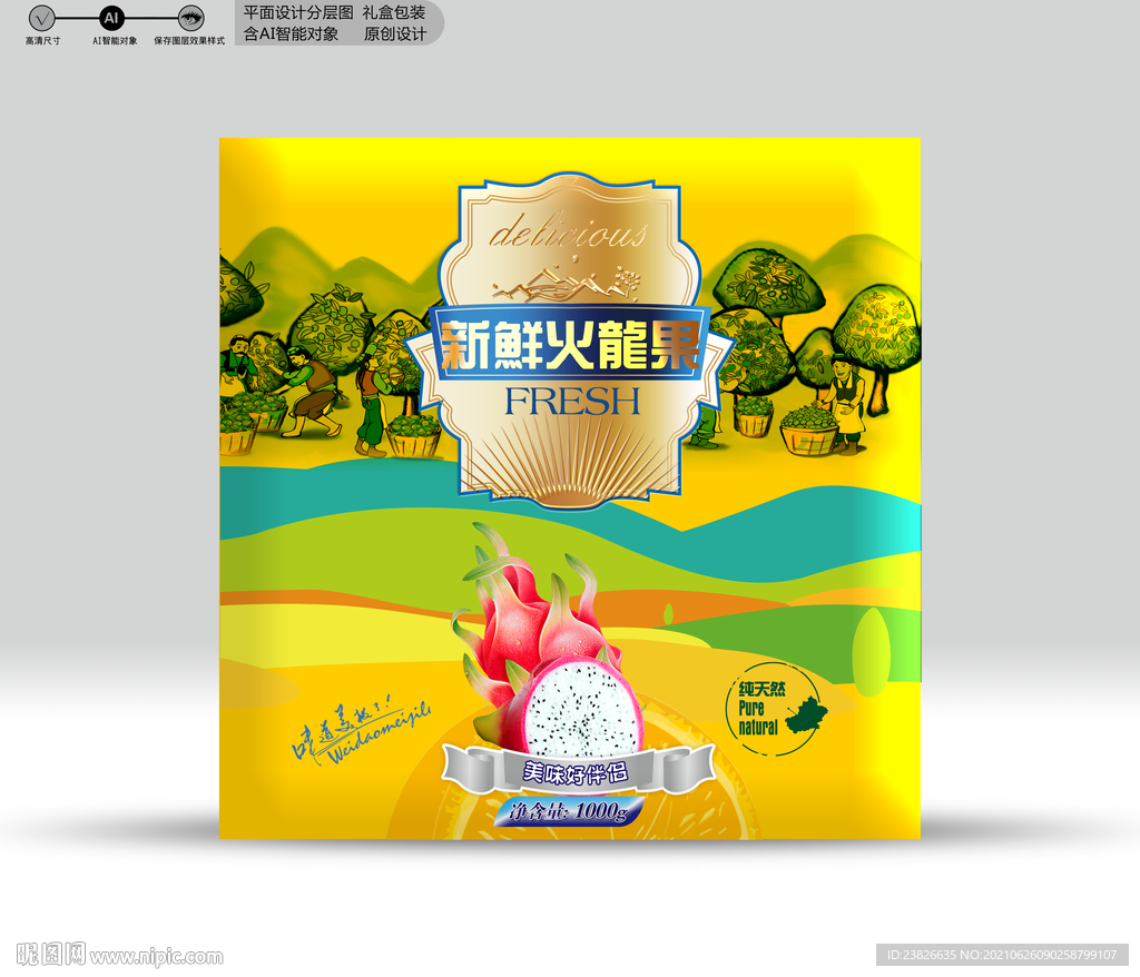 火龙果包装 效果分层文件