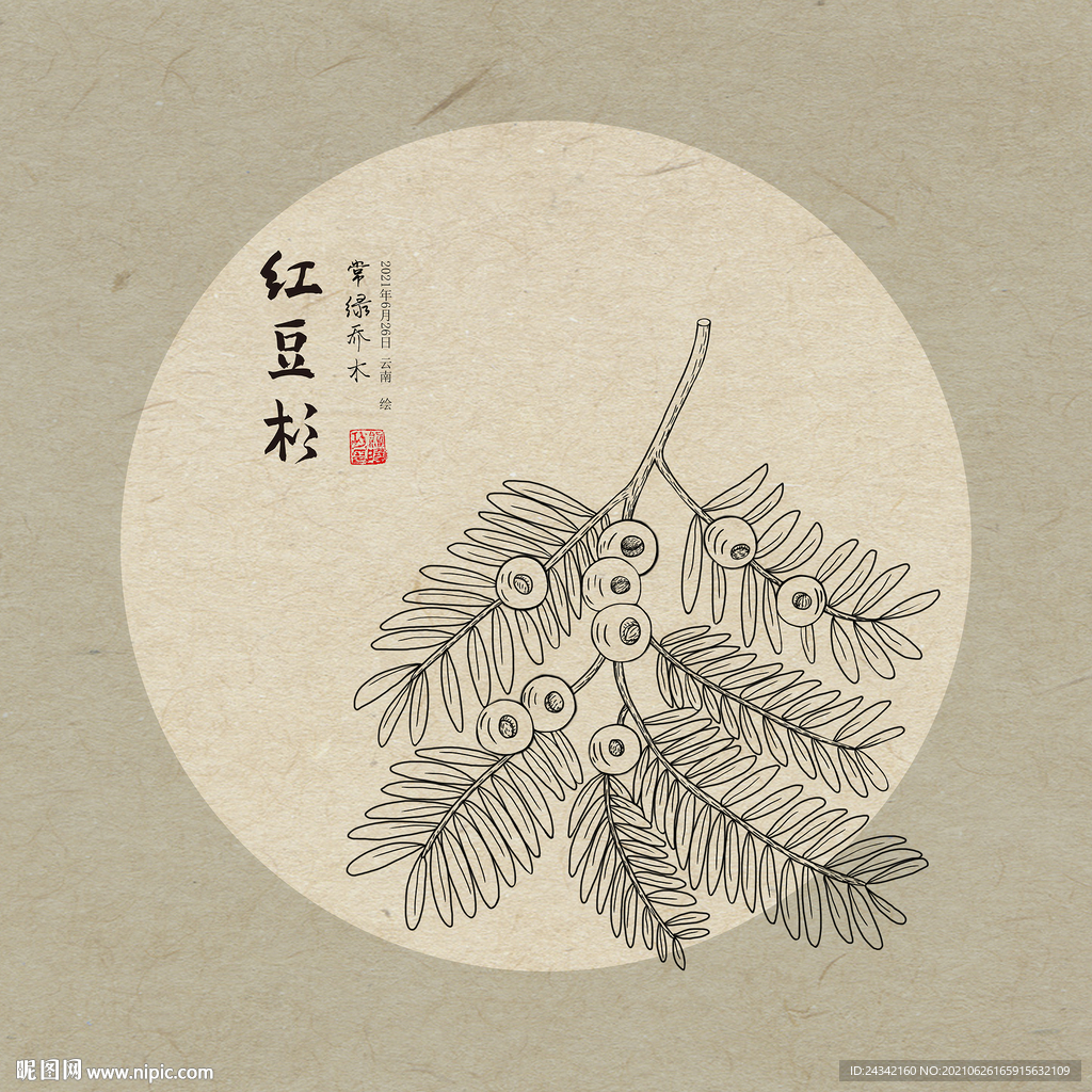 手绘红豆杉