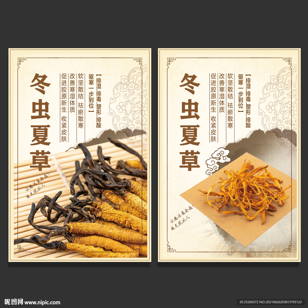 冬虫夏草