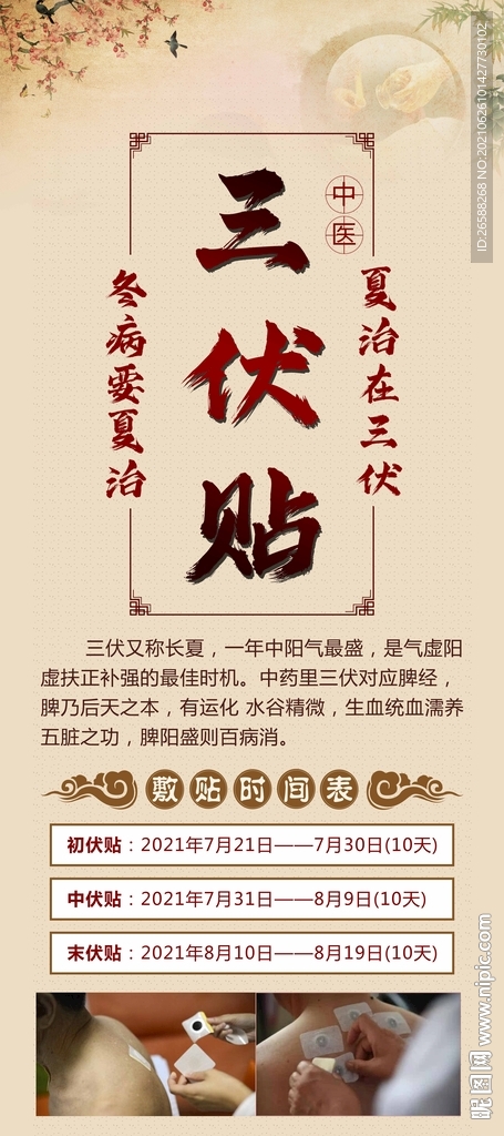 三伏贴展架